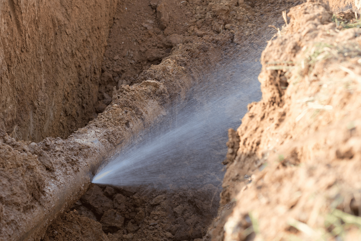 imgi 20 Design sem nome 7