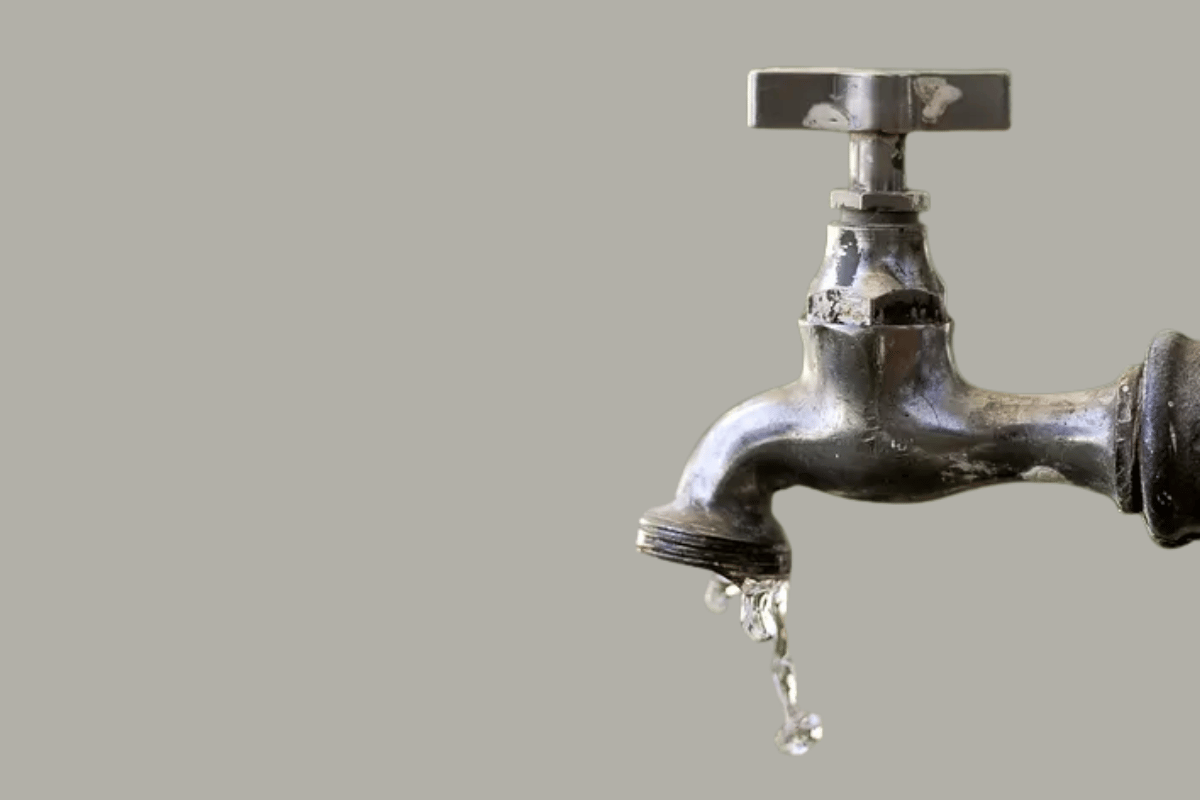 imgi 23 Design sem nome 8